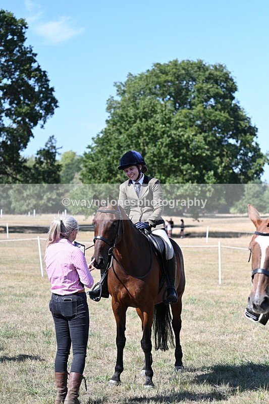 WJ7_1334 - Class 41 Prettiest Mare