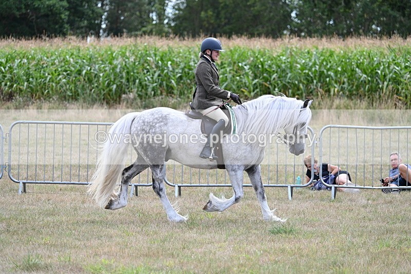 WJ7_5583 - Class 12 Ridden Cob