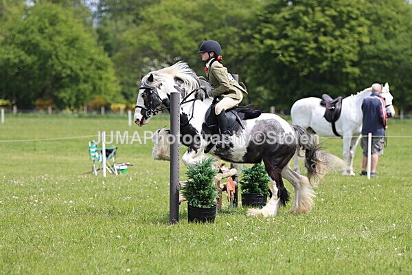 IMG_3155 - Working Hunter