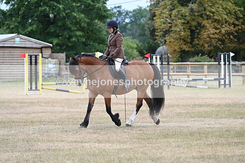 WJ7_0317 - Class 6 Ridden Mountain and Moorland