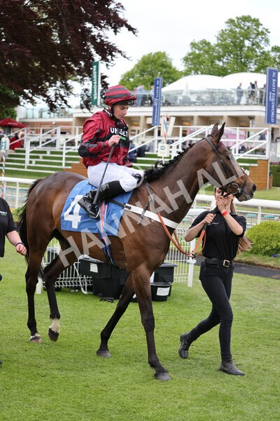 yr12052022r7-30 - Race 7 5.15pm Fidomoney Stakes
