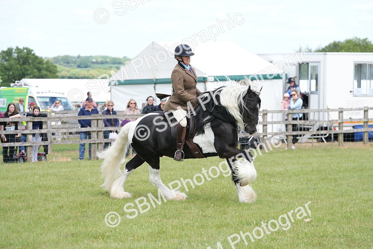 SBM_17280 - Class 107-108 - LIHS BSPS Performance Coloured Horse Pony
