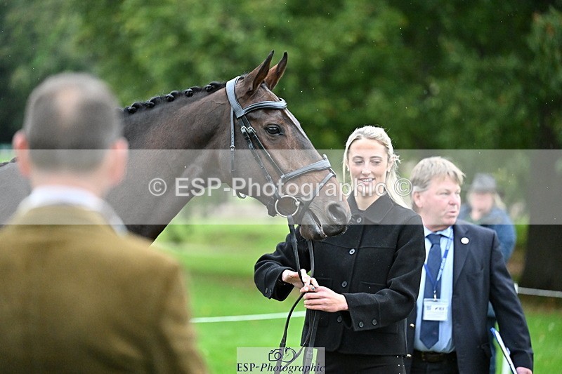 251022A-160503-00677 - A-007-Maja.Hullah