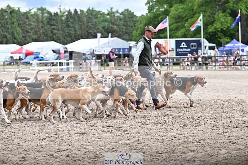 250524A-152215-12692 - East Devon Hounds