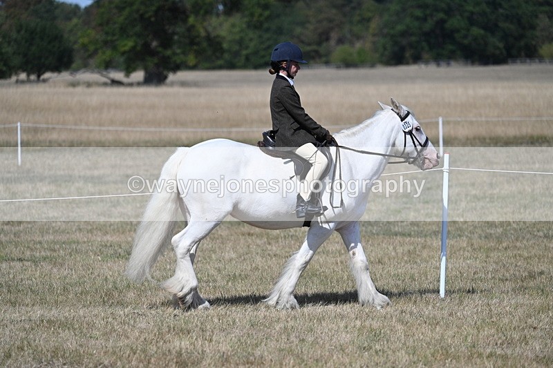 WJ7_1195 - Class 41 Prettiest Mare