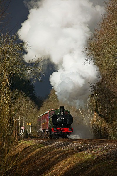 Light and dark - Trains of Thought