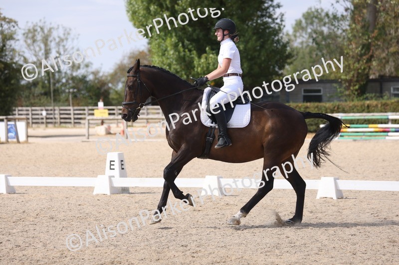 20260815-1057 - Class 6 - Novice 2