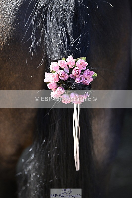 240728B-093818-00077 - Sunday Stable Shots and Fancy Dress