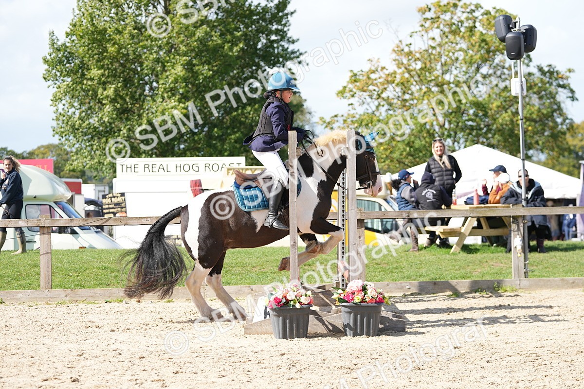 SBM_18199 - J58 - Clear Round 50cm