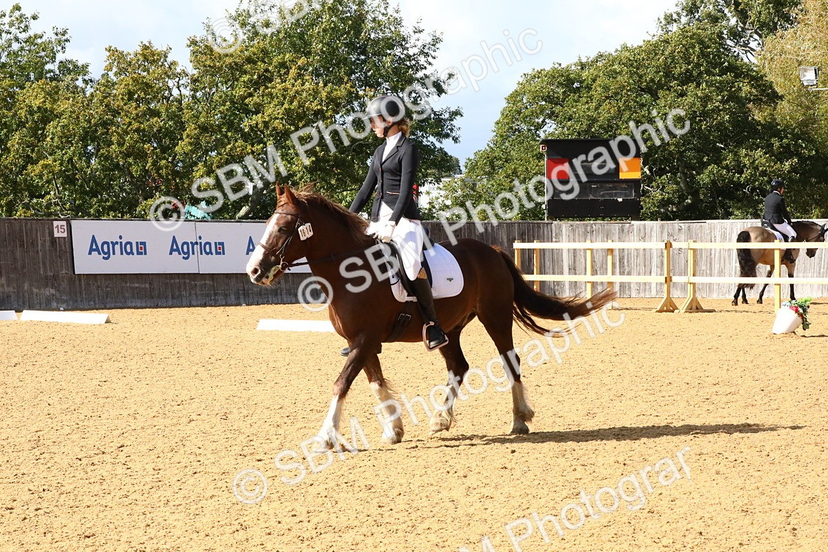 SBM_24401 - D5 - Small Tour Championshop Intro 2