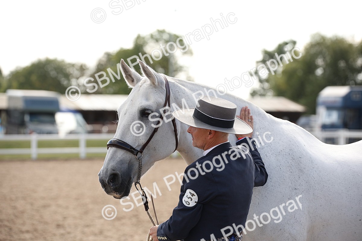SBM_07076 - Class 25 IH Foreign Breeds- Pure bred