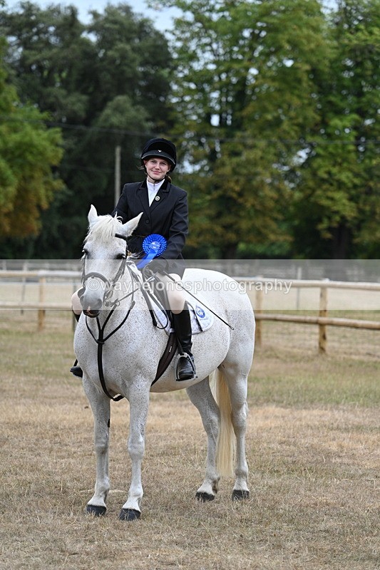 WJ7_0974 - Class 7 Riding Club Show Horse
