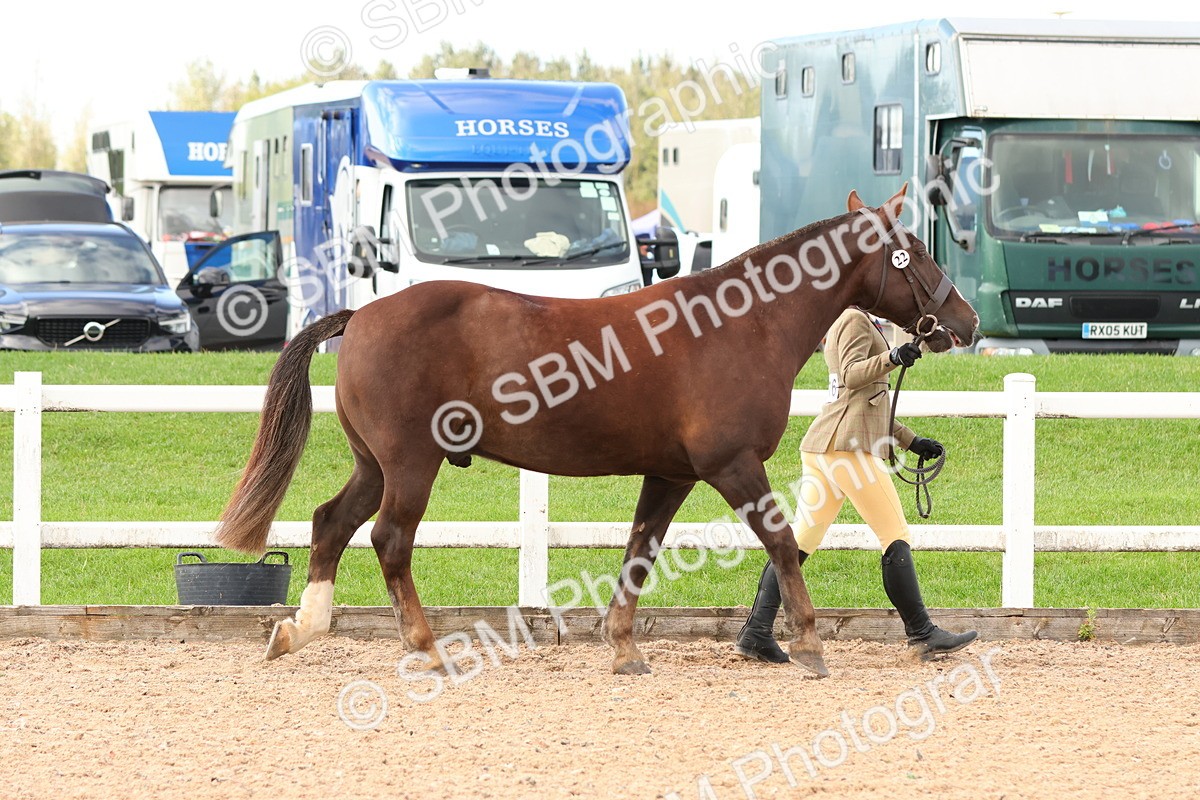 SBM_09173 - Class 204 - Young Handler