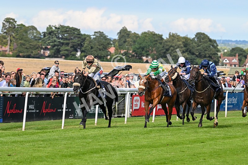 290725-Race 6-Jojo Rabbit-0986