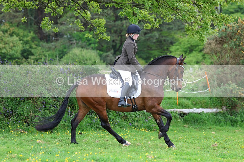 3E7A1983 - Class 10: Ridden Sports Horse