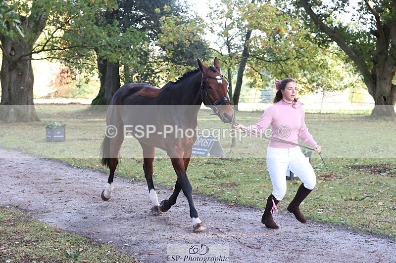 261025A-091458-24387 - 3DE Unknown riders - Trot Up