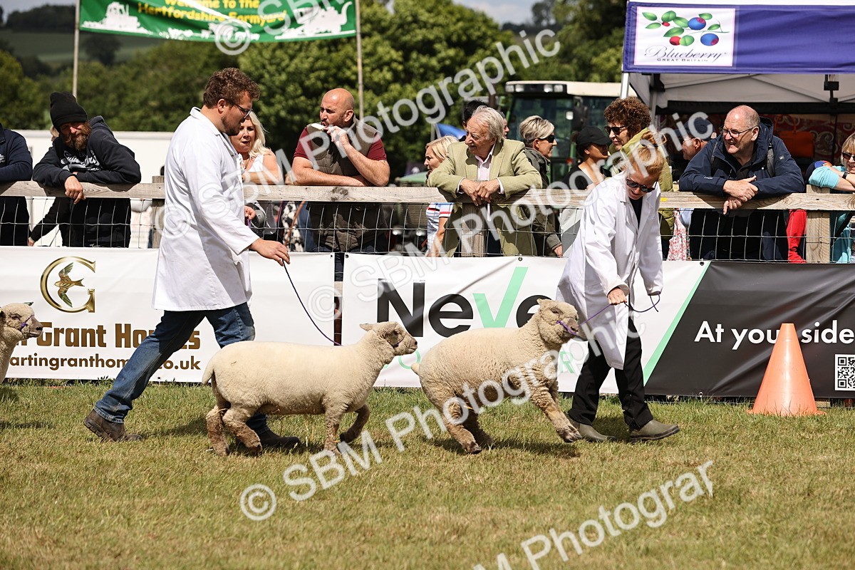 SBM_16846 - Grand Parade