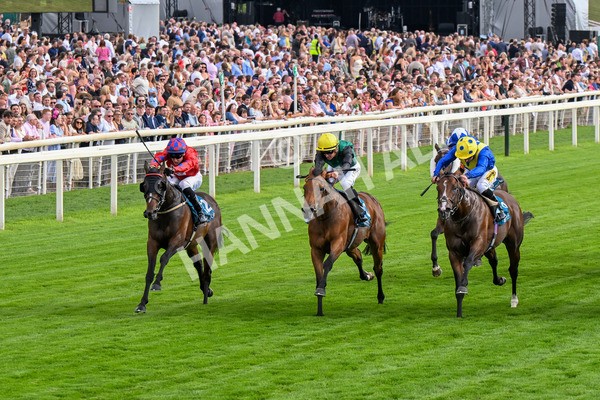 260725-Race 7-Chesneys Charm-0897 - Race 7 5.00pm Sky Bet Extra Places Every Day Handicap