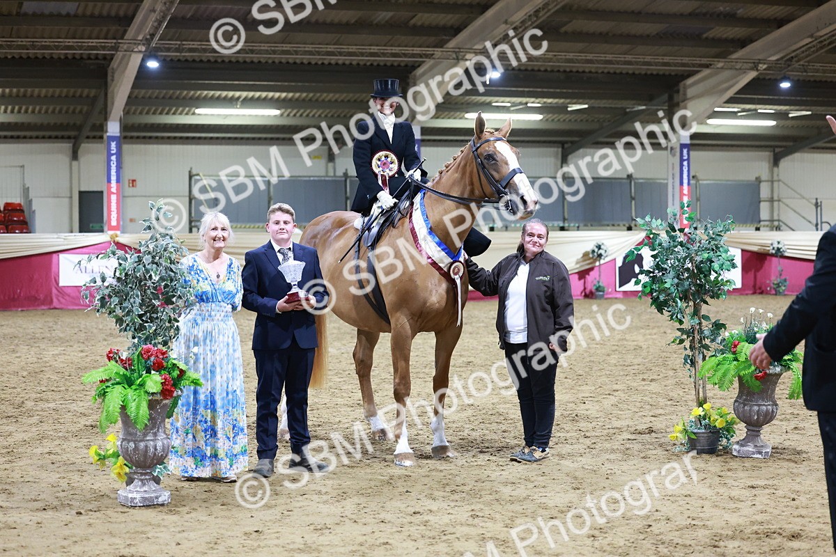 SBM_20958 - Class N - Side Saddle Champ