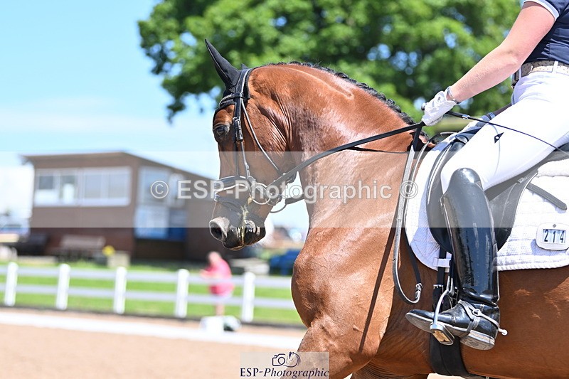 240621A-131716-03695 - Cls 8 BD Elementary 53