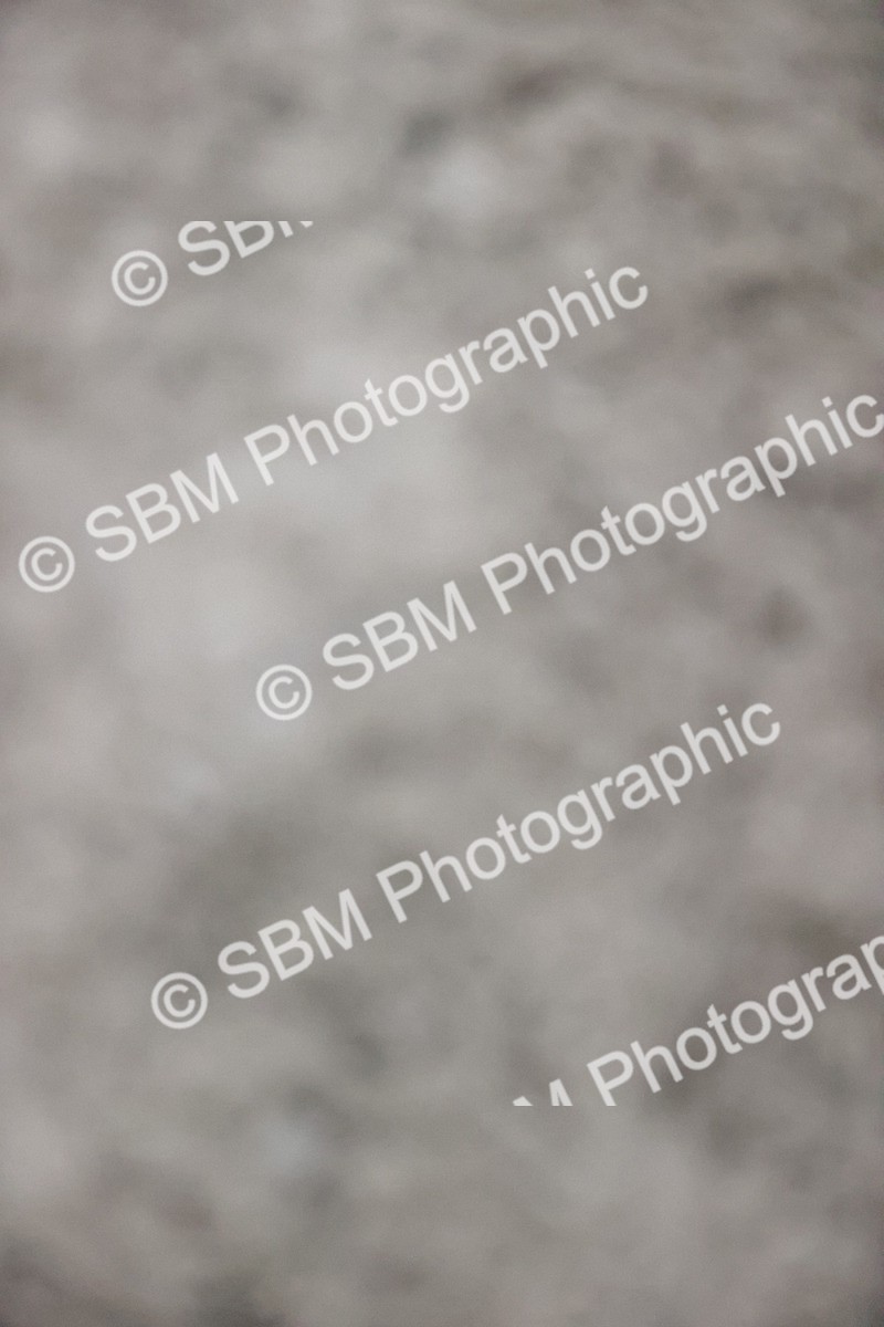 SBM_002078 - Class 6 - Blue Chip Dynamic B&C Championship Qualifier