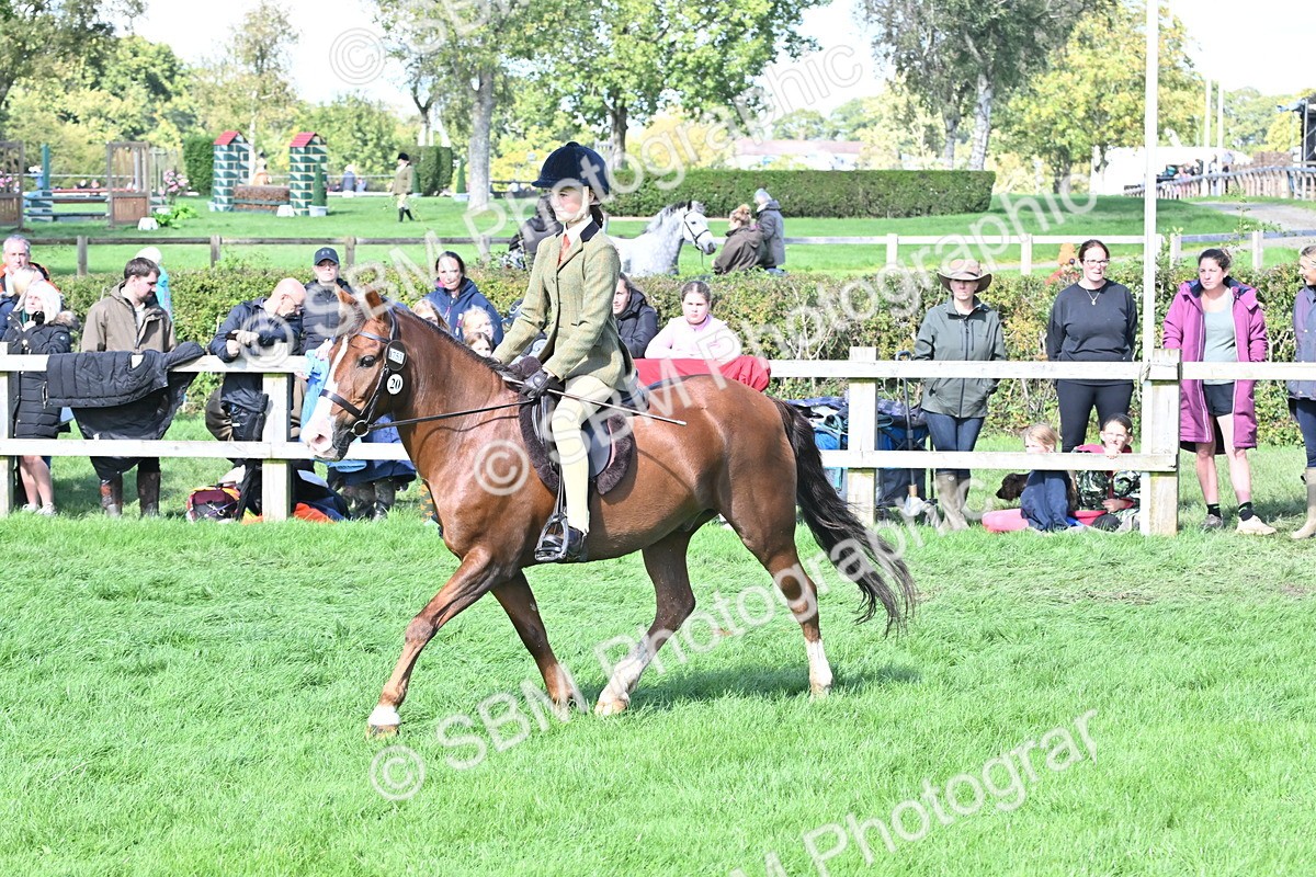 SBM_44552 - S13 - Pony Club Pony