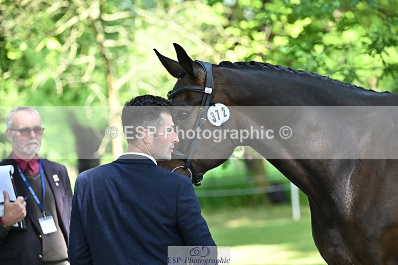 250521A-154942-00787 - B-372-Stephen.Heal-HISCO