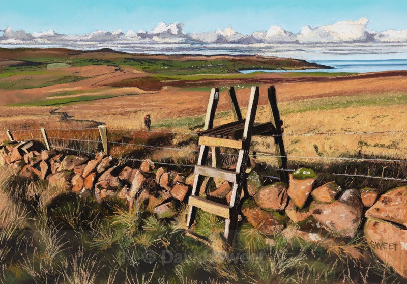 Above Glenarm - Paintings