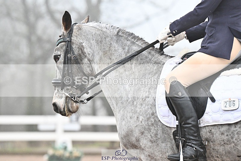 250215-103833-03069 - 206-Kelly.Raymont-Llanthony.Erehwon