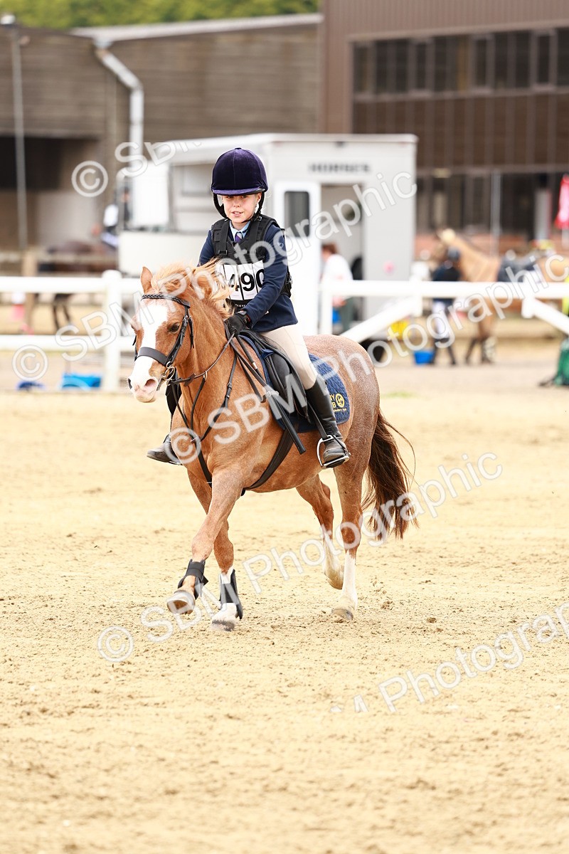 SBM_008576 - Class 4 - 70cm