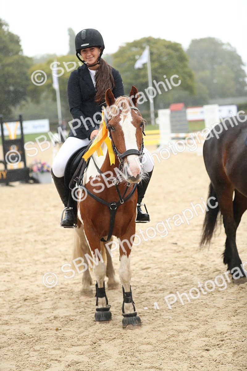 SBM_74125 - J16 - Junior Pony 75cm Championship