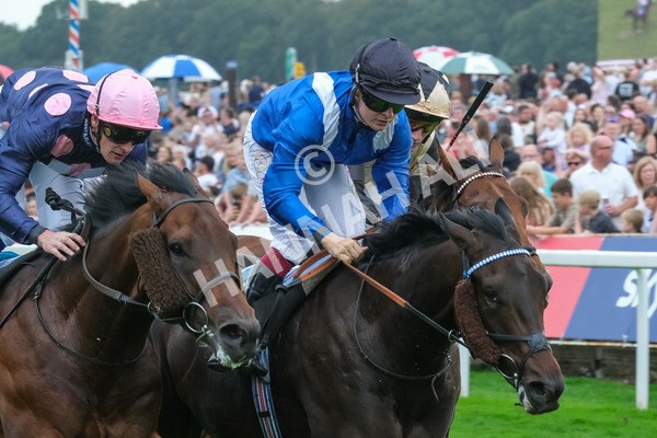 080925-Race 5-Elmonjed-9455 - Race 5 4.30pm Sky Bet Starman Garrowby Stakes