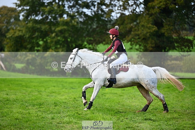 251025A-134958-20470 - F-479-Poppy.Wellman