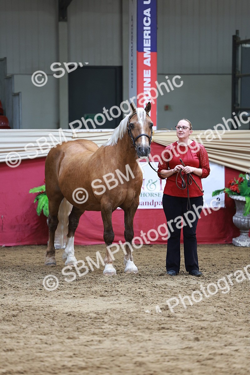 SBM_17590 - Class 951 - M&M IH Supreme Final