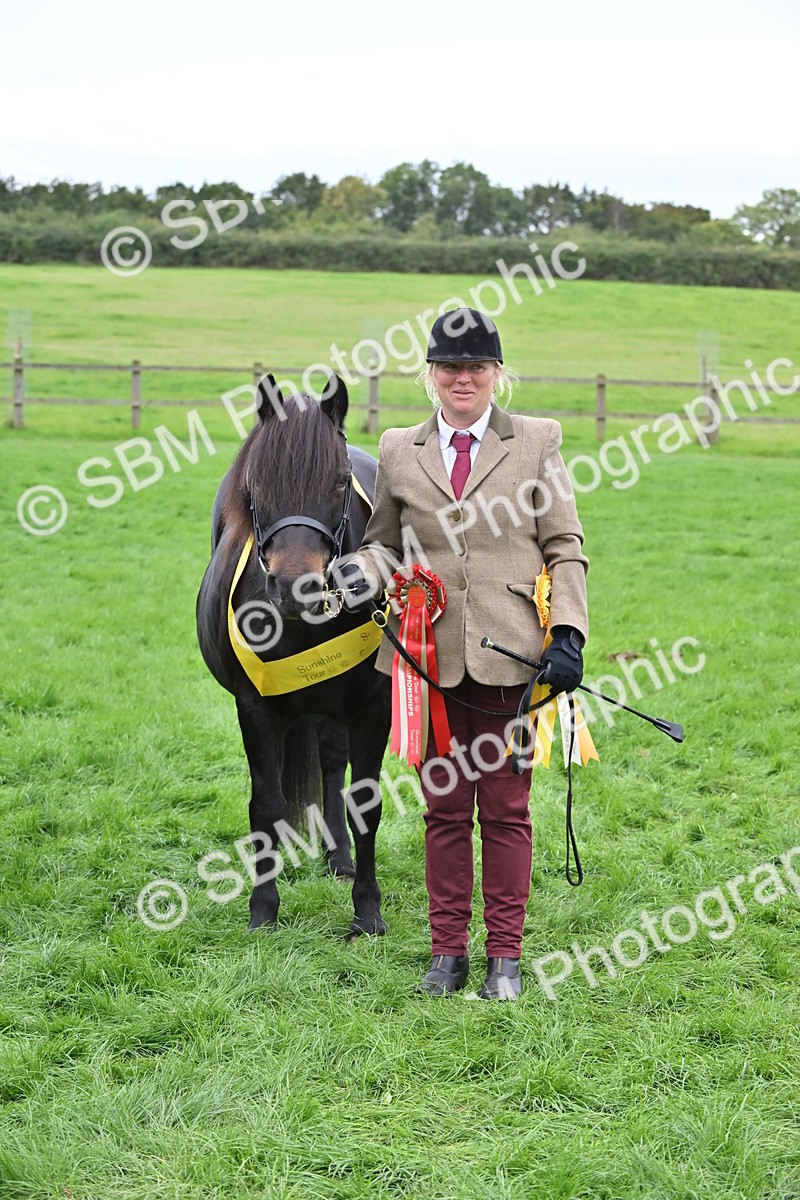 SBM_65036 - In Hand Pony & Younstock Supreme Championship