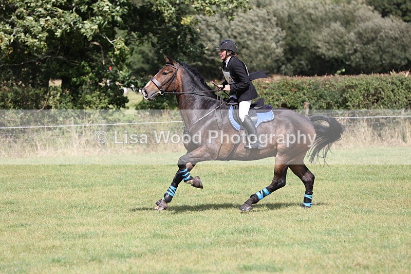 JPP_8820 - Class 2: Trekenning: 80cm Showjumping