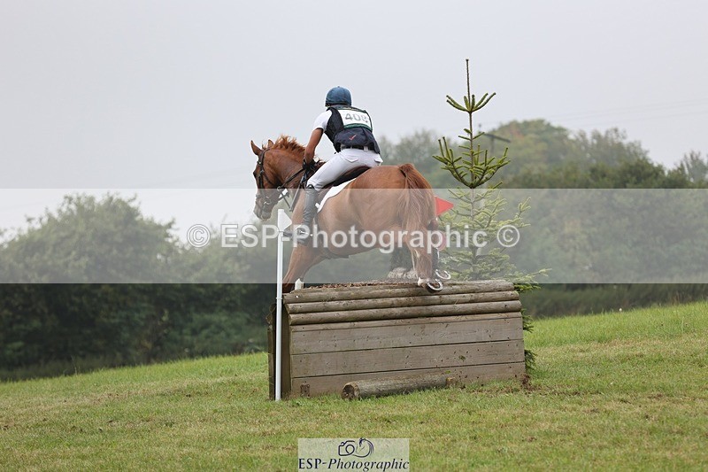 240901A-114422-07248 - 408-Joe.Roome-COLLIE.MOR.CHESTER