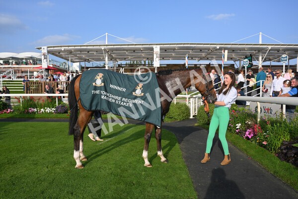 yr05092021r7-53 - Race 7 5.10pm Yorkshire Regiment Stakes