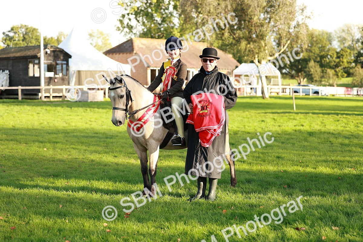 SBM_29332 - Novice & newcomer Supreme Championship