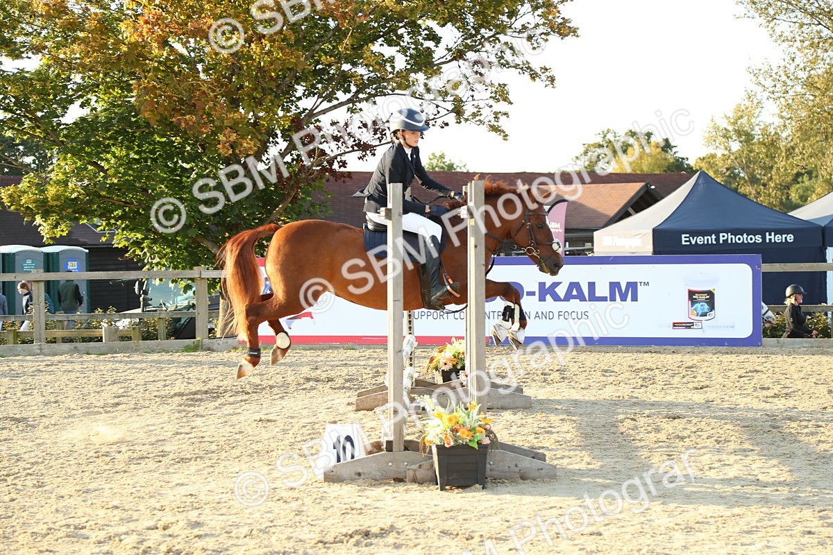 SBM_53880 - J8 - Junior Pony 65cm Championship