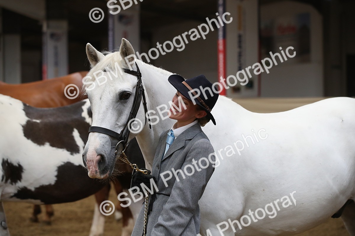SBM_05689_Class9r - Regional - IH Pre Vet - Lily