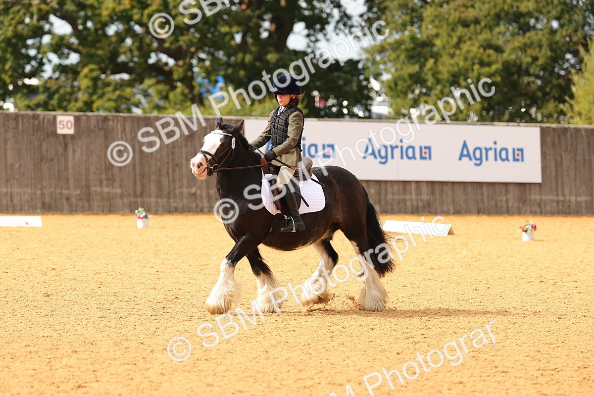 SBM_48220 - D22 - Junior Championship - Intro B