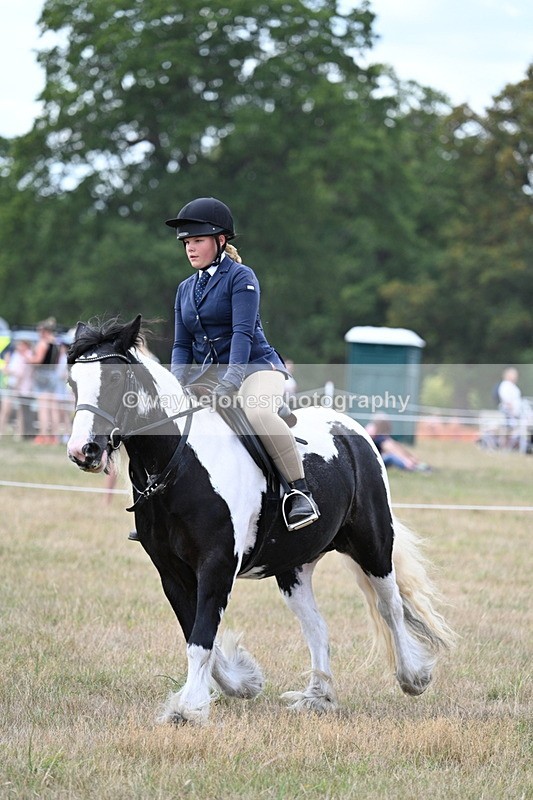 WJ7_5369 - Class 12 Ridden Cob