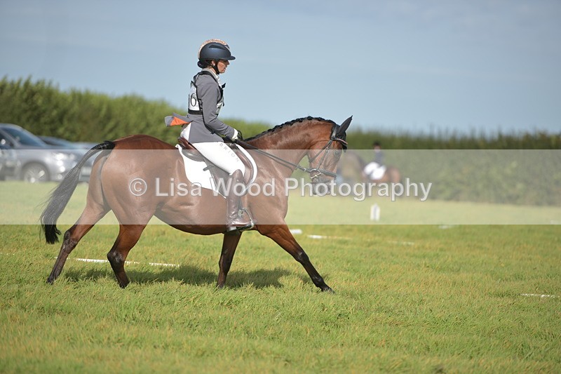 RAY_7586 - Class 2B: Trekenning Open: Dressage