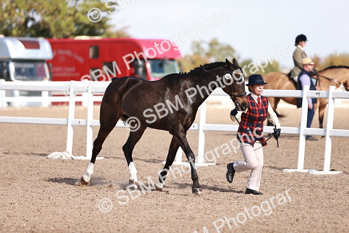 SBM_22789 - Class 705 - IH Combination 65+