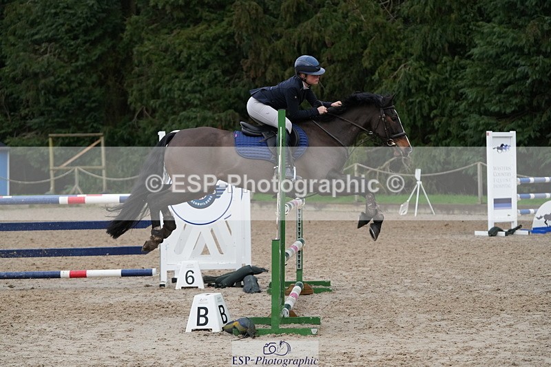 260208A-151933-02285 - 6. 1.10m Individual Pony