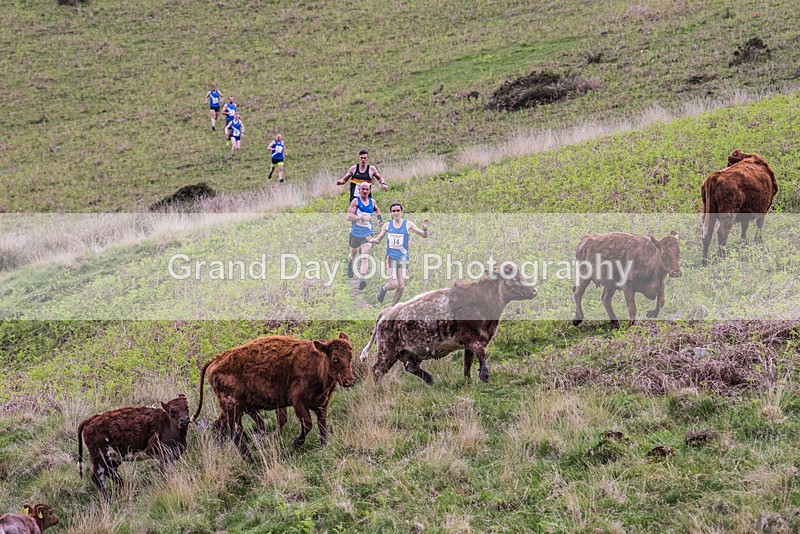 Latterbarrow-113 - Latterbarrow Loop Fell Race Wednesday 24th May 2023