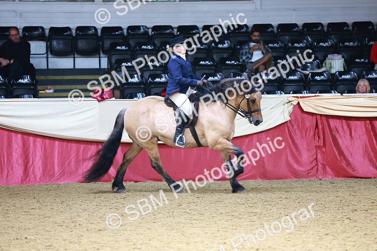 SBM_23787 - Class 905 - Supreme Final - Ridden Veteran