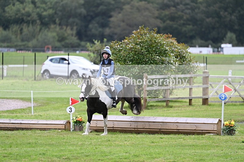 WJ7_9011 - 60cm Time 12:31 to 12:50