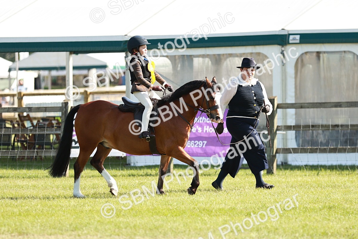 SBM_11350 - Class 106-107 - BSPS LIHS Working Sports Pony